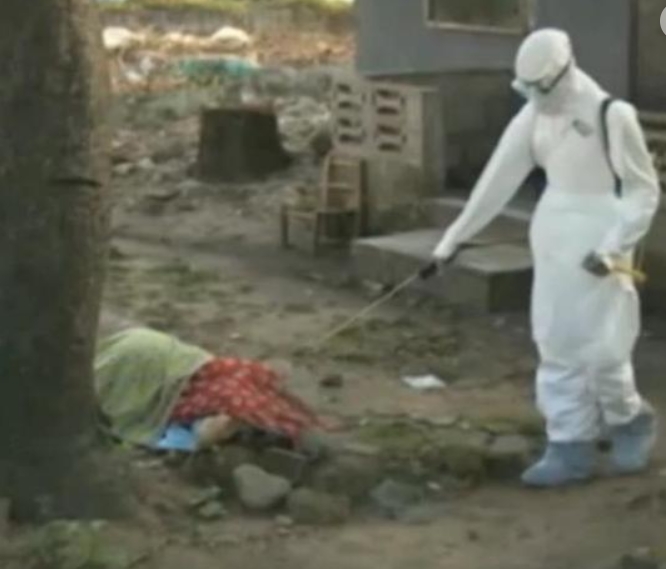 Experts say the virus is very harmful